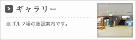 ギャラリー